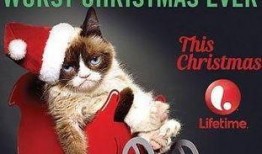 猫 电影 在线观看,在线观影之旅