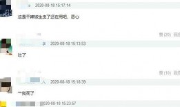 陈赫淄博爆料视频,揭秘美食背后的故事